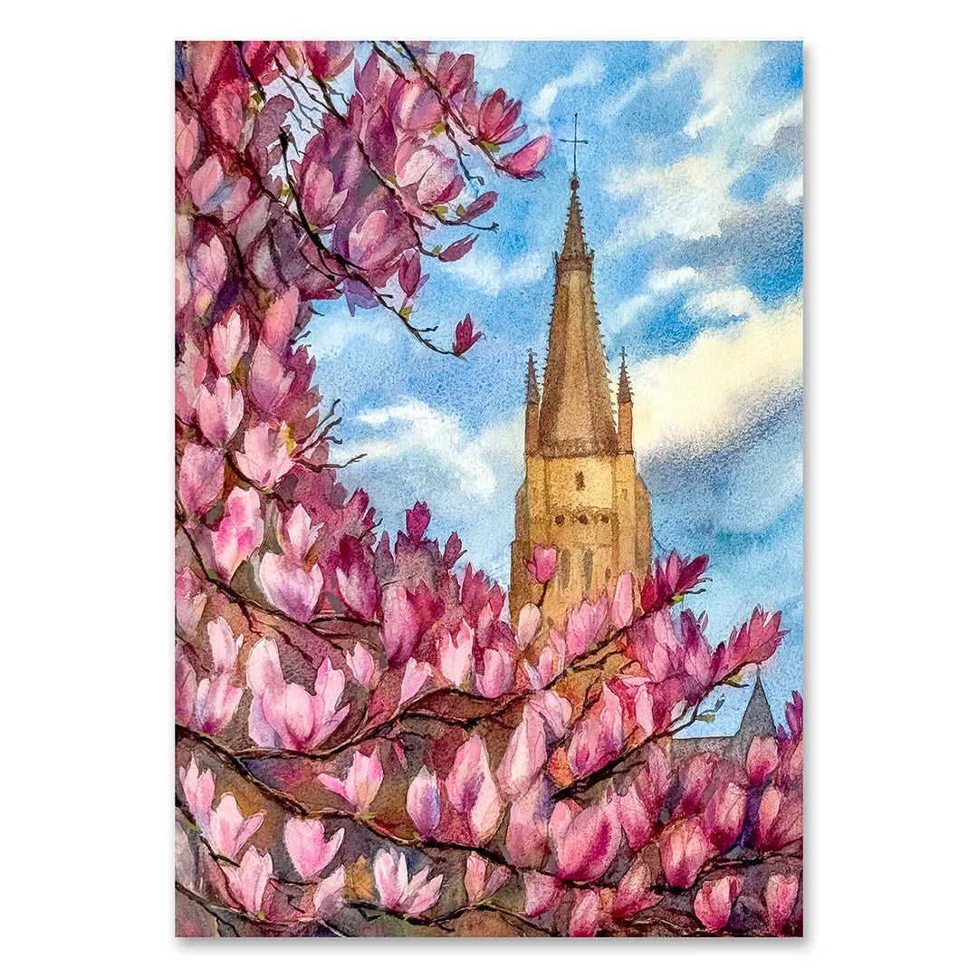 Bruges Watercolor Magnolia - Museum Quality Print