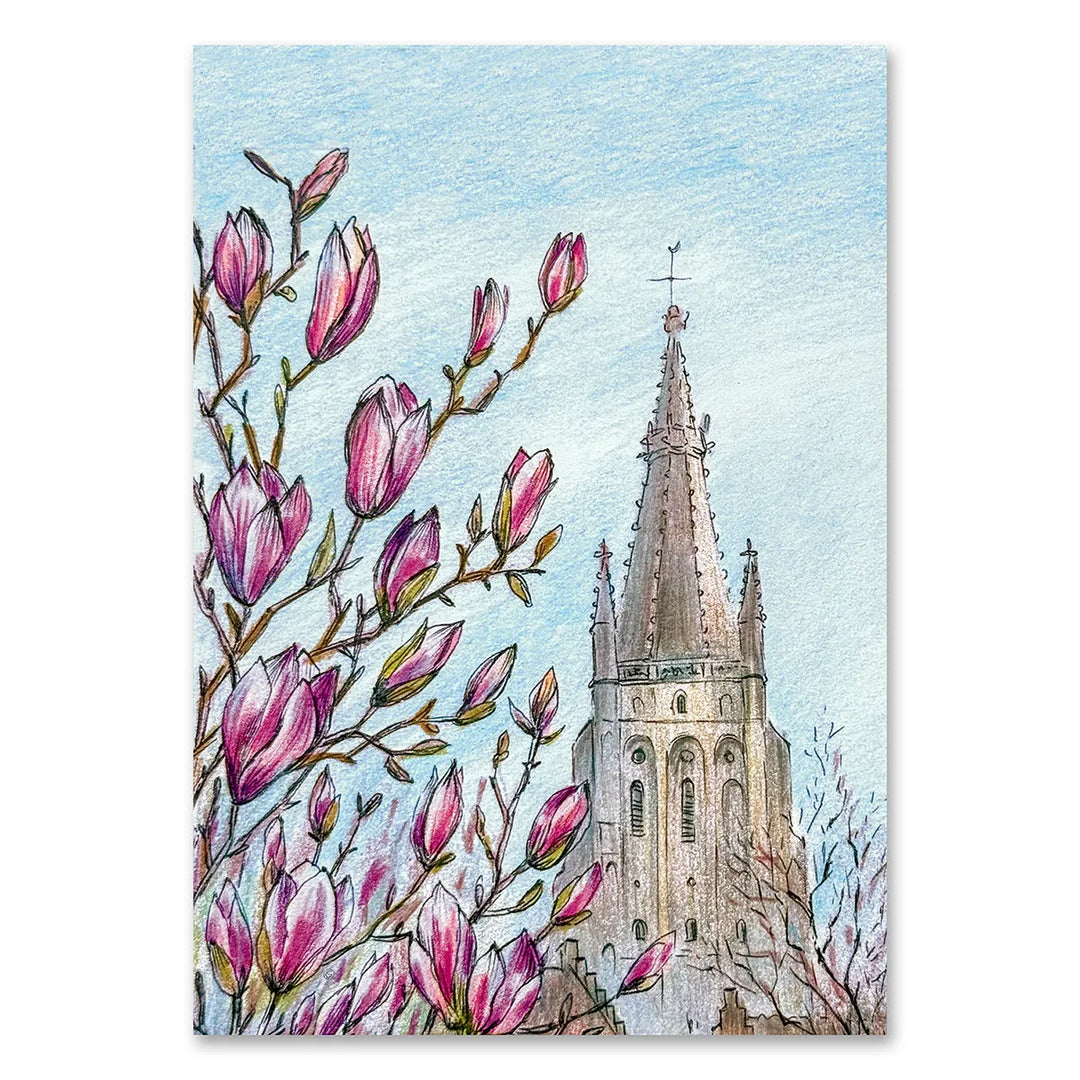 Bruges Our Lady Church & Magnolia – Wall Art Print